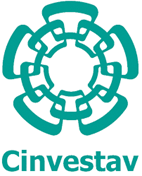 cinvestav